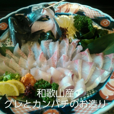 海鮮・魚料理専門店「魚小屋よしき」：2017/06/14(水)の料理写真