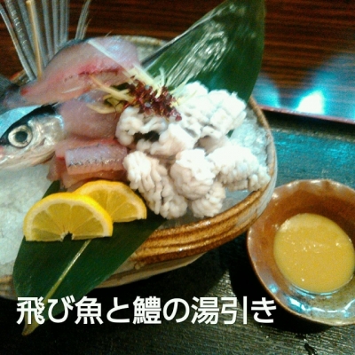 海鮮・魚料理専門店「魚小屋よしき」：2017/06/14(水)の料理写真