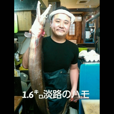 海鮮・魚料理専門店「魚小屋よしき」：2017/06/14(水)の料理写真
